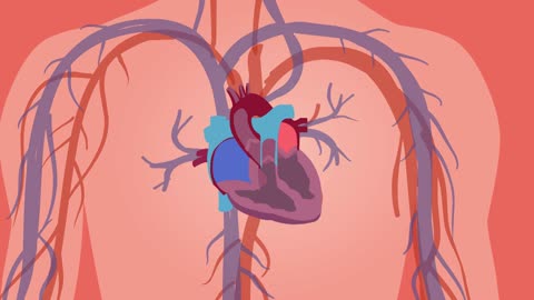 Cardiology (heart)