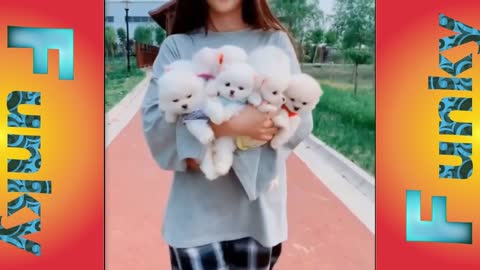 CUTE PUPPIES RUNNING AWAY WITH BEAUTY