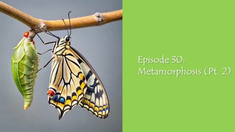 Episode 30: Metamorphosis (Pt. 2)