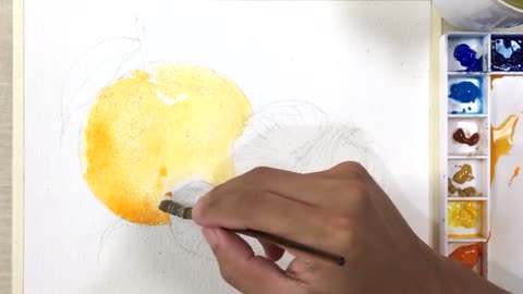 Draw oranges with watercolors