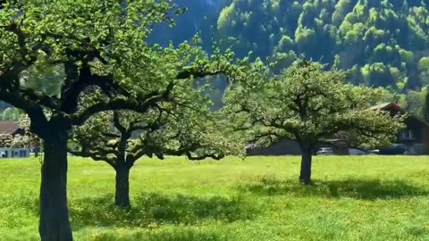 Switzerland ❤️❤️ #nature #asmr #relax #mountains #switzerland #shorts