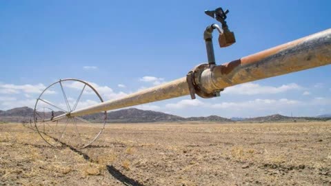 Drought, Food Shortages: 800,00 Acres Of California Farmland Could Be Unworked This Year