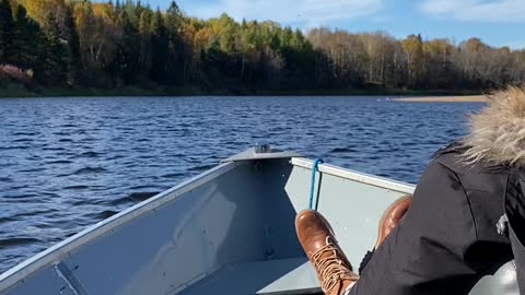 Bald Eagles on the Mississagi River.