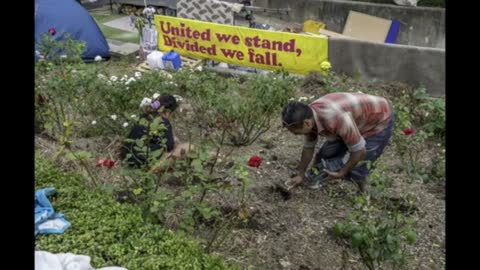 Police Raid & Destruction of Freedom Village, Wellington New Zealand, 2 March, 2022