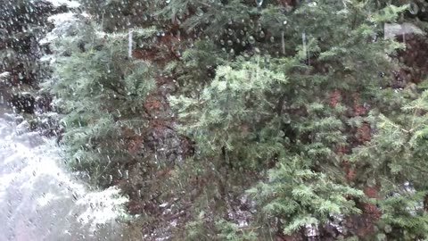 Waking up to our first snow in Colorado camping in our car in 2015