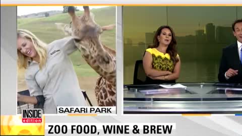 Watch Frisky Giraffe Distract News Reporter During Live Report