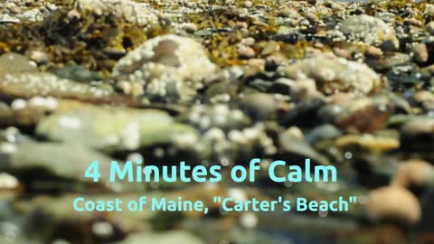 4 Min of Calm