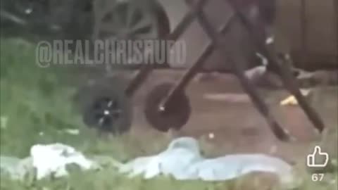 Footage has emerged of African migrants grilling cats in Dayton