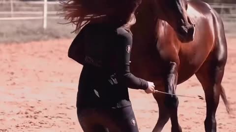 Hot Girl Play with black Horse