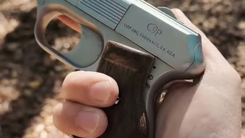 Mini short gun