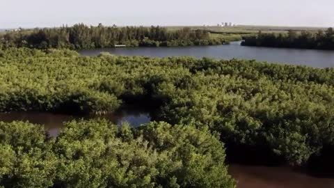 Brazilian wetland is burning in winter! Do you believe that?