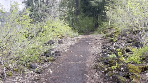 Viewpoint Bench to Coldwater Cove Campground – Clear Lake Loop – Willamette National Forest – 4K