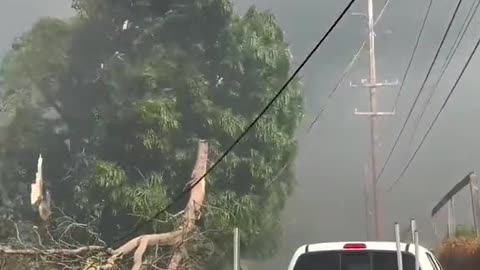 Footage of Lahaina minutes before the fires started and how fast things changed