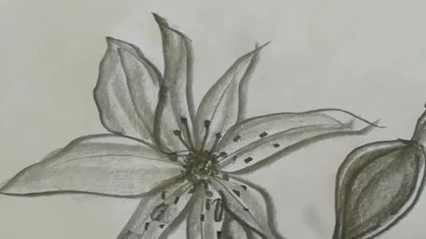 Easy flower 🌹 drawing I The nitin art_2d