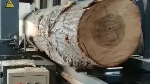 Wood working video #shorts