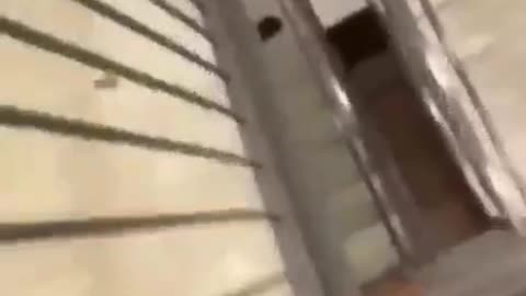 man falls off stairs Funny Mane😂🤣😂😂