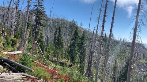 Central Oregon - Mount Jefferson Wilderness - Ridgeline View of Wasco Lake