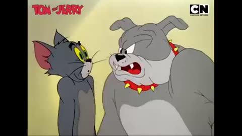 Tom & Jerry 😺🐭 | World’s Best Frenemies! | Catch the eternal chase of Tom & Jerry | Cartoon Network