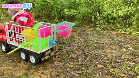 Cute Monkey Luby Visits Lake To Catch Ducks And Colorful Balls