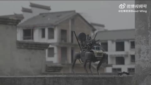 China delivers Robot Combat Dogs using Drones!