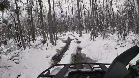 Snow seeding cool season crops