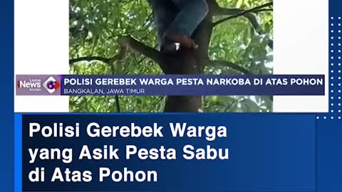 Polisi Gerebek Wargayang Asik Pesta Sabu di Atas Pohon