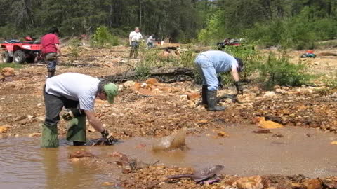 VA Gold On the Creek CCPO May 2008