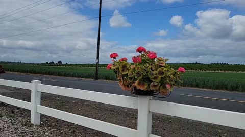 Envoying the Beauty of the Willamette Valley in Oregon