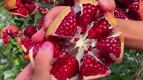 Asmr fruits