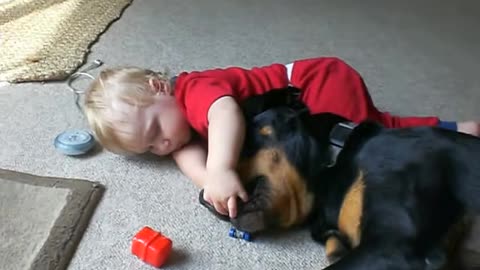 Baby's Best Friend, his Rottweiler