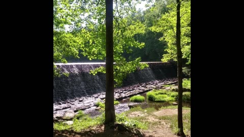 Kings Mountain State Park Meditation