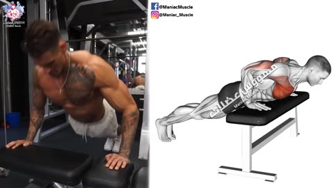 How to Make Bigger Chest Exercises Fastest -(6 Effective Exercises)-