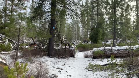 The Edge of the Volcanic Zone – Central Oregon – Edison Sno-Park – 4K