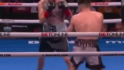 Boxing Fight