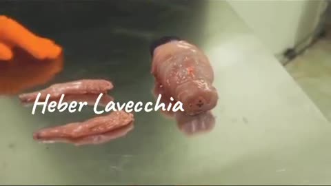 Zombis con luz ultravioleta Proyecto Oscar video de Hever Lavecchia 19-COV