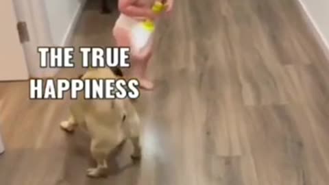 The true happiness