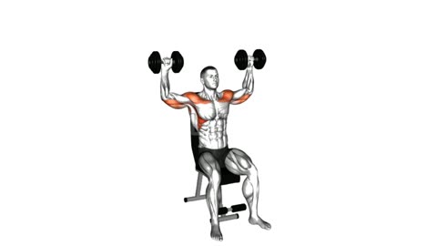 Best Shoulder Workout With Dumbbell