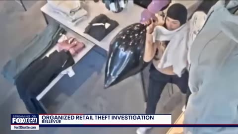 Police bust 'major' organized retail theft ring targeting Lululemon stores in PNW