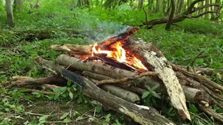 A campfire in the woods