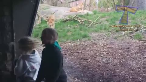 Funny KIDS and ZOO ANIMALS are WAY FUNNIER! - TRY NOT TO LAUGH