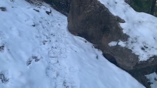 Ascending the Steep Snowy Canyon – Whychus Creek – Central Oregon