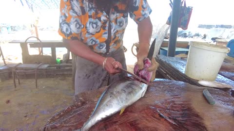 Amazing Tuna Cutting Skills _ Fish Cutting Sri Lanka