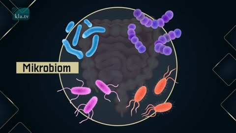 Folgt auf Covid-19 eine Tuberkulosepandemie... - und Antibiotika helfen nicht mehr?