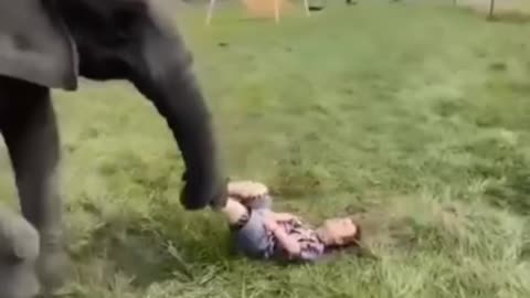 How a little kid 👶 is playing football 🏀with an elephant 🐘