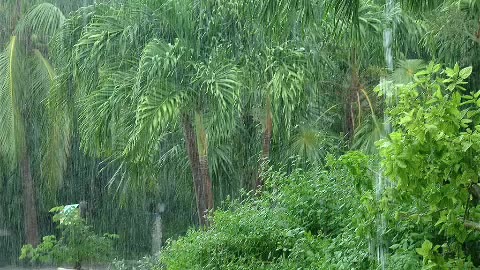 heavy rain