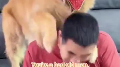 dog beating his man