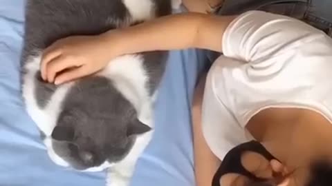 The best 🤗🤣😂 funny videos with cats and dogs |Funny pets #75#Rumble shorts