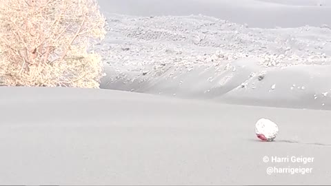 A rolling 'lava bomb' erupts from the Spanish volcano