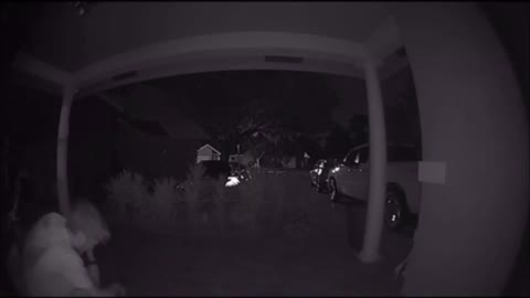 Ring Camera Footage of a Drunk Guy at 300 Am Back to Home