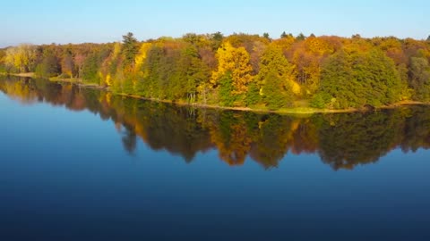 Enchanting Autumn Forests with Beautiful Piano Music